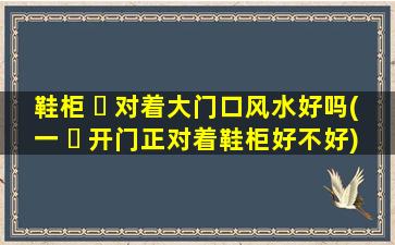 鞋柜 ☘ 对着大门口风水好吗(一 ☘ 开门正对着鞋柜好不好)